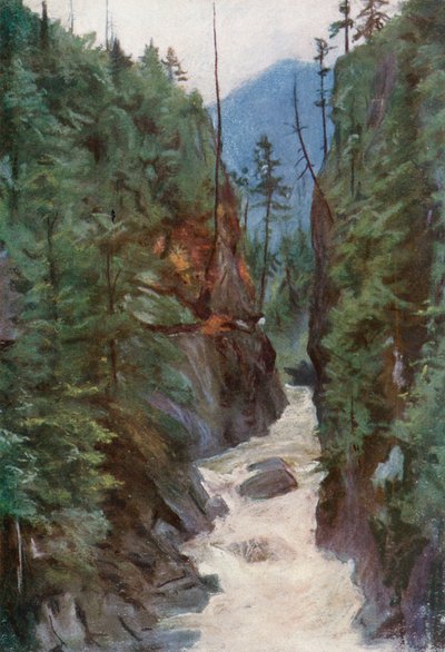 Capilano Canyon, near North Vancouver by Harold Copping